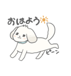 マルチーズのラテです。（個別スタンプ：13）
