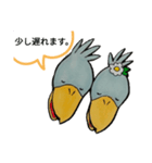 ハシビロコウのピロリン＆ヴィック(敬語編)（個別スタンプ：6）