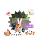 ぱぴぱぴパピヨン93（個別スタンプ：12）