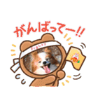 ぱぴぱぴパピヨン93（個別スタンプ：18）
