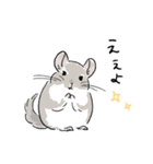 関西弁チンチラスタンプ(修正版)（個別スタンプ：2）