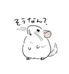 関西弁チンチラスタンプ(修正版)（個別スタンプ：3）
