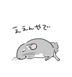 関西弁チンチラスタンプ(修正版)（個別スタンプ：4）