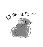 関西弁チンチラスタンプ(修正版)（個別スタンプ：7）