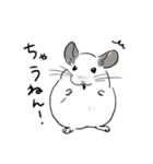関西弁チンチラスタンプ(修正版)（個別スタンプ：13）