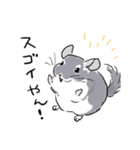 関西弁チンチラスタンプ(修正版)（個別スタンプ：16）