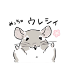 関西弁チンチラスタンプ(修正版)（個別スタンプ：24）