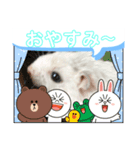 るーちゃんスタンプⅣ（個別スタンプ：3）