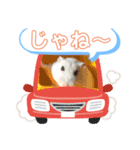 るーちゃんスタンプⅣ（個別スタンプ：6）