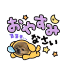 ポメラニアン☆レイン③（個別スタンプ：6）