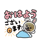ポメラニアン☆レイン③（個別スタンプ：8）