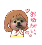 ポメラニアン☆レイン③（個別スタンプ：12）