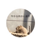 旭山の動物たち2（個別スタンプ：28）