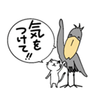 【スタンプの日】ハシビロコウと猫/日本語（個別スタンプ：37）