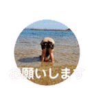 わが家のふぅ3（個別スタンプ：18）