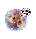 みさこななこ（個別スタンプ：24）