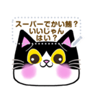 【書き込める】はちわれネコの色々な顔♪鮪（個別スタンプ：17）