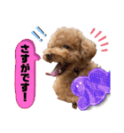 コタロースタンプ4（個別スタンプ：40）