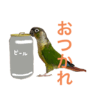 ウロコインコが好きな人のスタンプ（個別スタンプ：6）