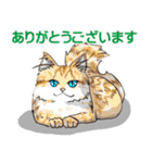 プレアデス館 ALL猫ありがとうございます（個別スタンプ：5）