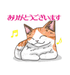 プレアデス館 ALL猫ありがとうございます（個別スタンプ：11）