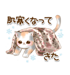 大収穫♡冬まで使える猫スタンプ（個別スタンプ：6）