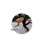認知スタンプ総集編（個別スタンプ：15）