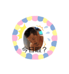 認知スタンプ総集編（個別スタンプ：32）