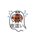 認知スタンプ総集編（個別スタンプ：40）