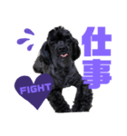 トイプードルとシーズーのMIX犬エマ 10弾（個別スタンプ：28）