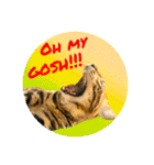 BENGALCAT ROY＆BELLE（個別スタンプ：21）