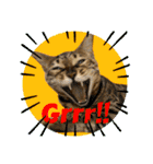 BENGALCAT ROY＆BELLE（個別スタンプ：22）