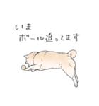 めいっぽいスタンプ（個別スタンプ：23）