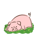 ぶたぶたこぶー（個別スタンプ：2）