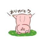 ぶたぶたこぶー（個別スタンプ：19）
