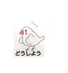 楽しいインコたちと文鳥たち（個別スタンプ：2）