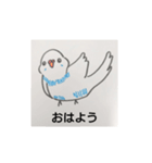 楽しいインコたちと文鳥たち（個別スタンプ：3）