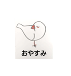 楽しいインコたちと文鳥たち（個別スタンプ：4）