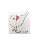 楽しいインコたちと文鳥たち（個別スタンプ：16）