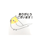 楽しいインコたちと文鳥たち（個別スタンプ：20）