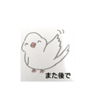 楽しいインコたちと文鳥たち（個別スタンプ：24）