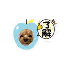 こむしゃんのスタンプ（個別スタンプ：8）