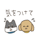 黒柴とトイプーの気持ち（個別スタンプ：12）