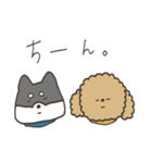 黒柴とトイプーの気持ち（個別スタンプ：37）