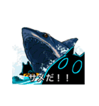 貴方のかわりにナメクジネコ【GROOVY】（個別スタンプ：16）