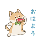 食いしん坊柴犬（個別スタンプ：7）