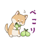 食いしん坊柴犬（個別スタンプ：10）