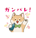 食いしん坊柴犬（個別スタンプ：14）