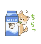 食いしん坊柴犬（個別スタンプ：25）