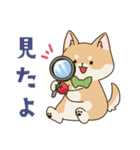 食いしん坊柴犬（個別スタンプ：28）